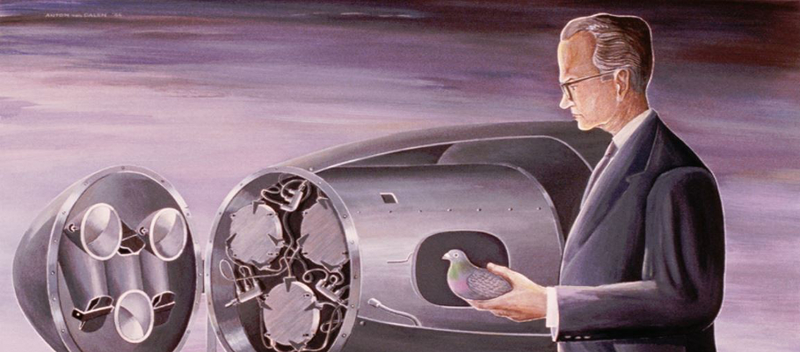 Project Pigeon